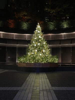 赤坂蚤の市2025年クリスマスツリー